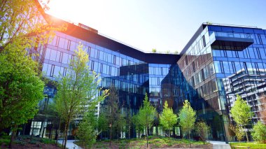 Varşova, Polonya. 5 Mayıs 2022. Orman, yaşamak ve ürün ve fikirleri çoğaltmak için modern ofis alanıdır. Dengeyi korumak için, şirket dünyasının dostane bir ofise ihtiyacı var. .