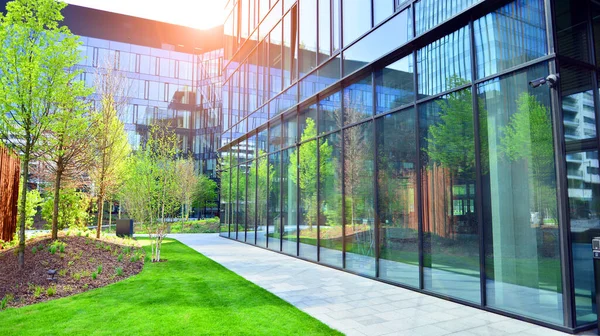 Varşova, Polonya. 5 Mayıs 2022. Orman, yaşamak ve ürün ve fikirleri çoğaltmak için modern ofis alanıdır. Dengeyi korumak için, şirket dünyasının dostane bir ofise ihtiyacı var. .