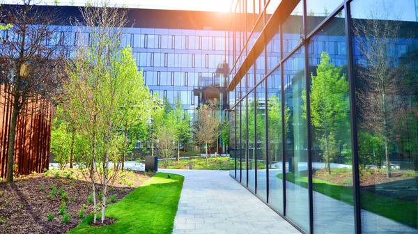 Varşova, Polonya. 5 Mayıs 2022. Orman, yaşamak ve ürün ve fikirleri çoğaltmak için modern ofis alanıdır. Dengeyi korumak için, şirket dünyasının dostane bir ofise ihtiyacı var. .