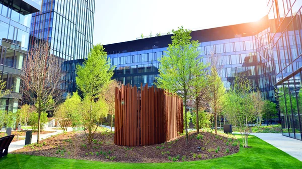 Varşova, Polonya. 5 Mayıs 2022. Orman, yaşamak ve ürün ve fikirleri çoğaltmak için modern ofis alanıdır. Dengeyi korumak için, şirket dünyasının dostane bir ofise ihtiyacı var. .