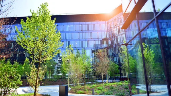 Varşova, Polonya. 5 Mayıs 2022. Orman, yaşamak ve ürün ve fikirleri çoğaltmak için modern ofis alanıdır. Dengeyi korumak için, şirket dünyasının dostane bir ofise ihtiyacı var. .