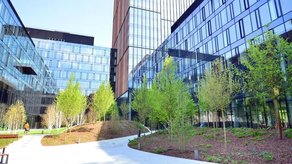 Varşova, Polonya. 5 Mayıs 2022. Orman, yaşamak ve ürün ve fikirleri çoğaltmak için modern ofis alanıdır. Dengeyi korumak için, şirket dünyasının dostane bir ofise ihtiyacı var. .