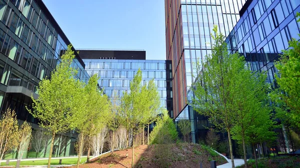 Varşova, Polonya. 5 Mayıs 2022. Orman, yaşamak ve ürün ve fikirleri çoğaltmak için modern ofis alanıdır. Dengeyi korumak için, şirket dünyasının dostane bir ofise ihtiyacı var. .