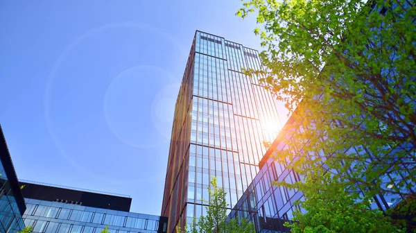 Varşova, Polonya. 5 Mayıs 2022. Orman, yaşamak ve ürün ve fikirleri çoğaltmak için modern ofis alanıdır. Dengeyi korumak için, şirket dünyasının dostane bir ofise ihtiyacı var. .