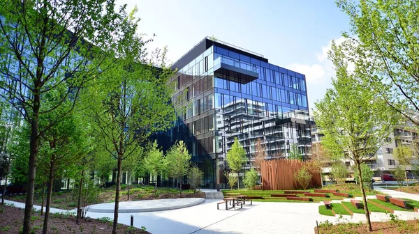 Varşova, Polonya. 5 Mayıs 2022. Orman, yaşamak ve ürün ve fikirleri çoğaltmak için modern ofis alanıdır. Dengeyi korumak için, şirket dünyasının dostane bir ofise ihtiyacı var. .