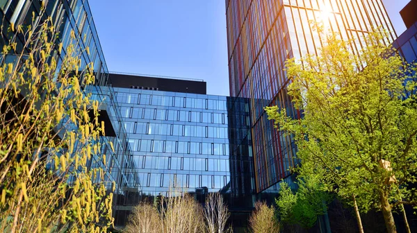 Varşova, Polonya. 5 Mayıs 2022. Orman, yaşamak ve ürün ve fikirleri çoğaltmak için modern ofis alanıdır. Dengeyi korumak için, şirket dünyasının dostane bir ofise ihtiyacı var. .