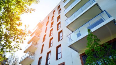 Çevre mimarisi. Yeşil ağaç ve apartman. Doğanın ve modernliğin ahengi.