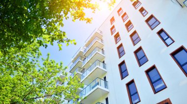 Çevre mimarisi. Yeşil ağaç ve apartman. Doğanın ve modernliğin ahengi.