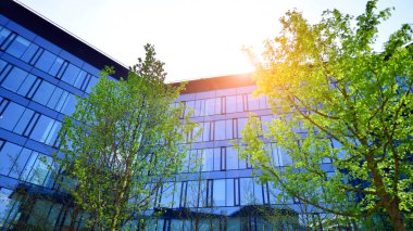 Çevre mimarisi. Yeşil ağaç ve cam ofis binası. Doğanın ve modernliğin ahengi. Modern ticari binanın yansıması güneş ışığıyla cam üzerine.. 