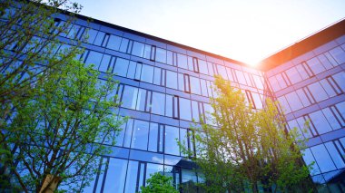 Çevre mimarisi. Yeşil ağaç ve cam ofis binası. Doğanın ve modernliğin ahengi. Modern ticari binanın yansıması güneş ışığıyla cam üzerine.. 