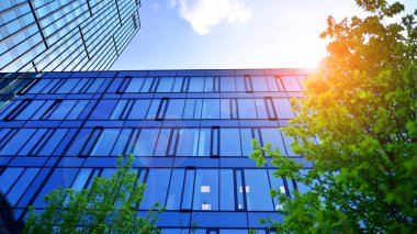 Çevre mimarisi. Yeşil ağaç ve cam ofis binası. Doğanın ve modernliğin ahengi. Modern ticari binanın yansıması güneş ışığıyla cam üzerine.. 