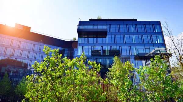 Eco architecture. Green tree and glass office building. The harmony of nature and modernity. Reflection of modern commercial building on glass with sunlight.