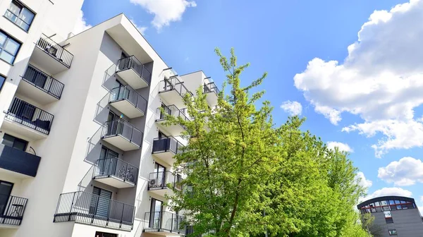 Çevre mimarisi. Yeşil ağaç ve apartman. Doğanın ve modernliğin ahengi.