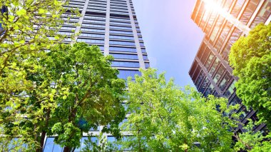 Taze yeşil ağaçlar ve ofis binası, iş konsepti. Modern şehir konseptinde yankı oluşturma.  