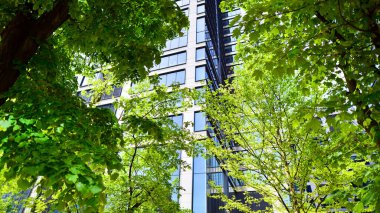 Taze yeşil ağaçlar ve ofis binası, iş konsepti. Modern şehir konseptinde yankı oluşturma.  