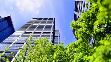 Taze yeşil ağaçlar ve ofis binası, iş konsepti. Modern şehir konseptinde yankı oluşturma.  