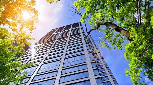 Taze yeşil ağaçlar ve ofis binası, iş konsepti. Modern şehir konseptinde yankı oluşturma.  