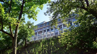 Taze yeşil ağaçlar ve ofis binası, iş konsepti. Modern şehir konseptinde yankı oluşturma.