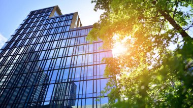 Çevre mimarisi. Yeşil ağaç ve cam ofis binası. Doğanın ve modernliğin ahengi. Modern ticari binanın yansıması güneş ışığıyla cam üzerine.. 