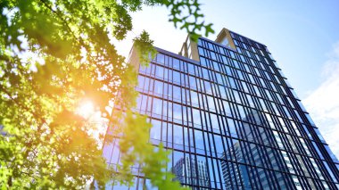 Çevre mimarisi. Yeşil ağaç ve cam ofis binası. Doğanın ve modernliğin ahengi. Modern ticari binanın yansıması güneş ışığıyla cam üzerine.. 