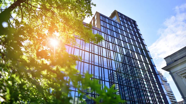 Eco architecture. Green tree and glass office building. The harmony of nature and modernity. Reflection of modern commercial building on glass with sunlight.