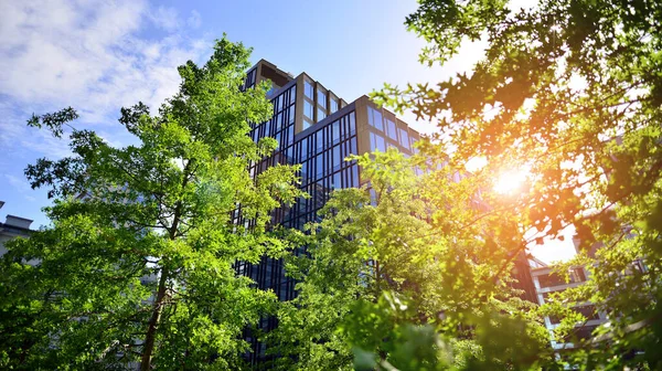 Eco architecture. Green tree and glass office building. The harmony of nature and modernity. Reflection of modern commercial building on glass with sunlight.