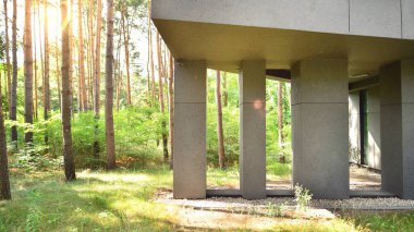 A modern office building among the trees in calm green neighborhood.