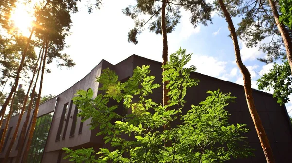 Modern Office Building Trees Calm Green Neighborhood — Fotografia de Stock