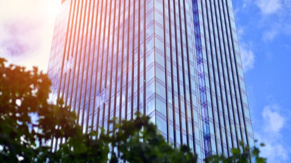 青空に対するモダンなガラスのファサード ビジネス街の建物の下のビュー オフィスビルのガラスファサードの低角度ビュー — ストック写真
