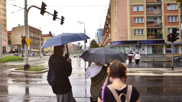 Szczecin Poland August 2022 People Umbrellas Rainy Day — Zdjęcie stockowe