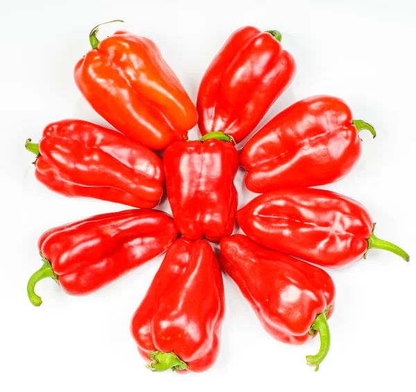 Pepper star — Stock Photo, Image