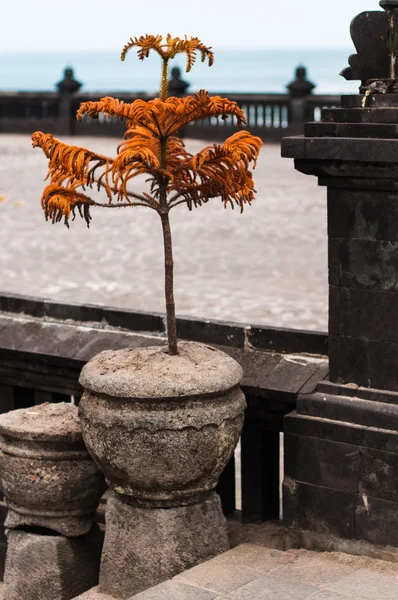 タナ ・ ロット寺院 — ストック写真