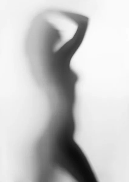 Silhouette einer jungen sexy Frau — Stockfoto