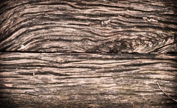 Grunge Texture du panneau en bois — Photo