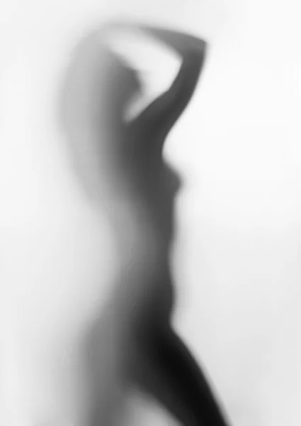 Silhouet van jonge sexy vrouw Stockafbeelding