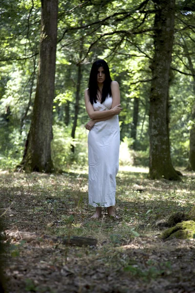 Krásná žena v lese — Stock fotografie