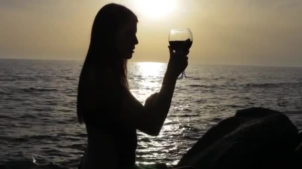 Silhouette di donna con bicchiere di vino — Video Stock