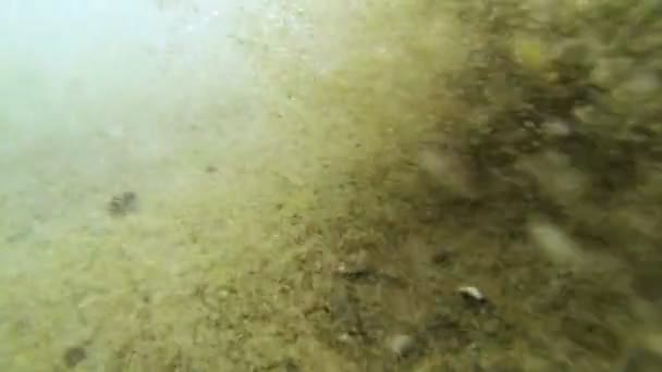 Mare con sabbia e gambe di bambino fuori dall'acqua — Video Stock