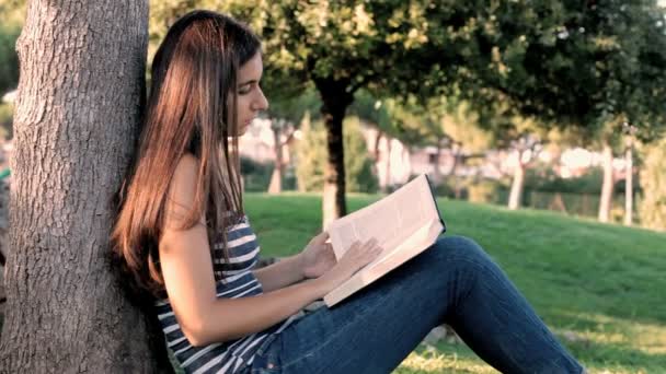 Donna nel parco che si stanca di studiare seduta su un albero — Video Stock