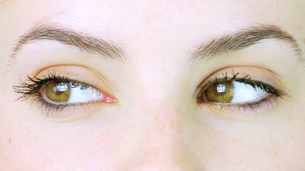 Yeux verts