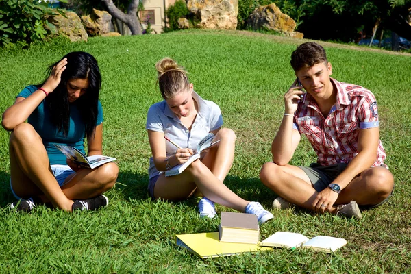 Three students in park working — Stock Photo, Image