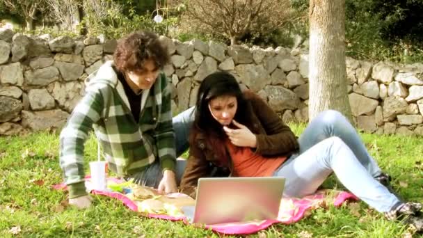 Couple s'amuser sur Internet dans le parc — Video