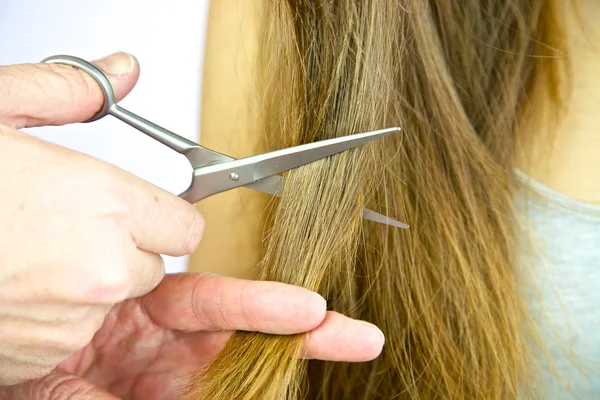 Big lock of long hair being cut with scissors — Stock Photo, Image