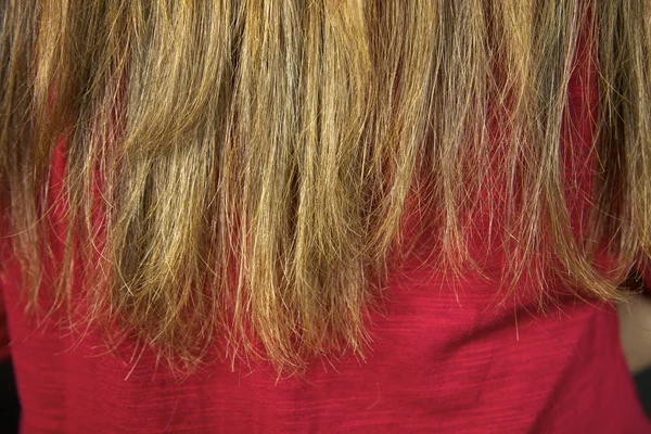 saç kesmek için hazır closeup yıkık bir Split biter