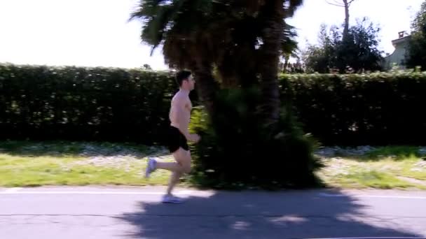 Professionele loper joggen op de straat — Stockvideo