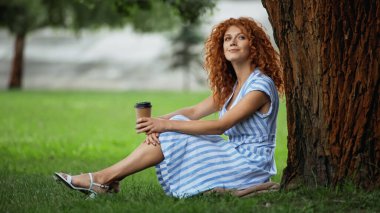 pleased redhead woman in blue dress sitting under tree trunk and holding coffee to go  clipart
