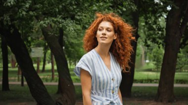 pleased young woman with red hair standing in blue striped dress in green park  clipart