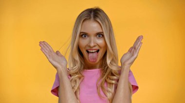 Blonde woman sticking out tongue and looking at camera isolated on yellow  clipart