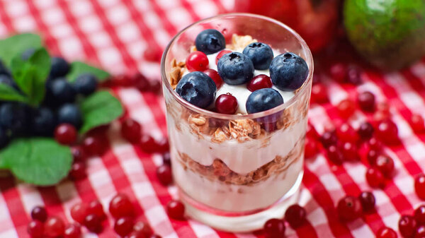 слои йогурта и мюсли с клюквой и черникой сверху 