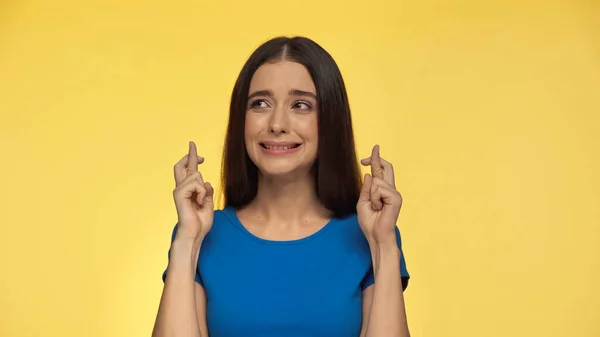 Young Emotional Woman Blue Shirt Standing Crossed Fingers Isolated Yellow — стоковое фото